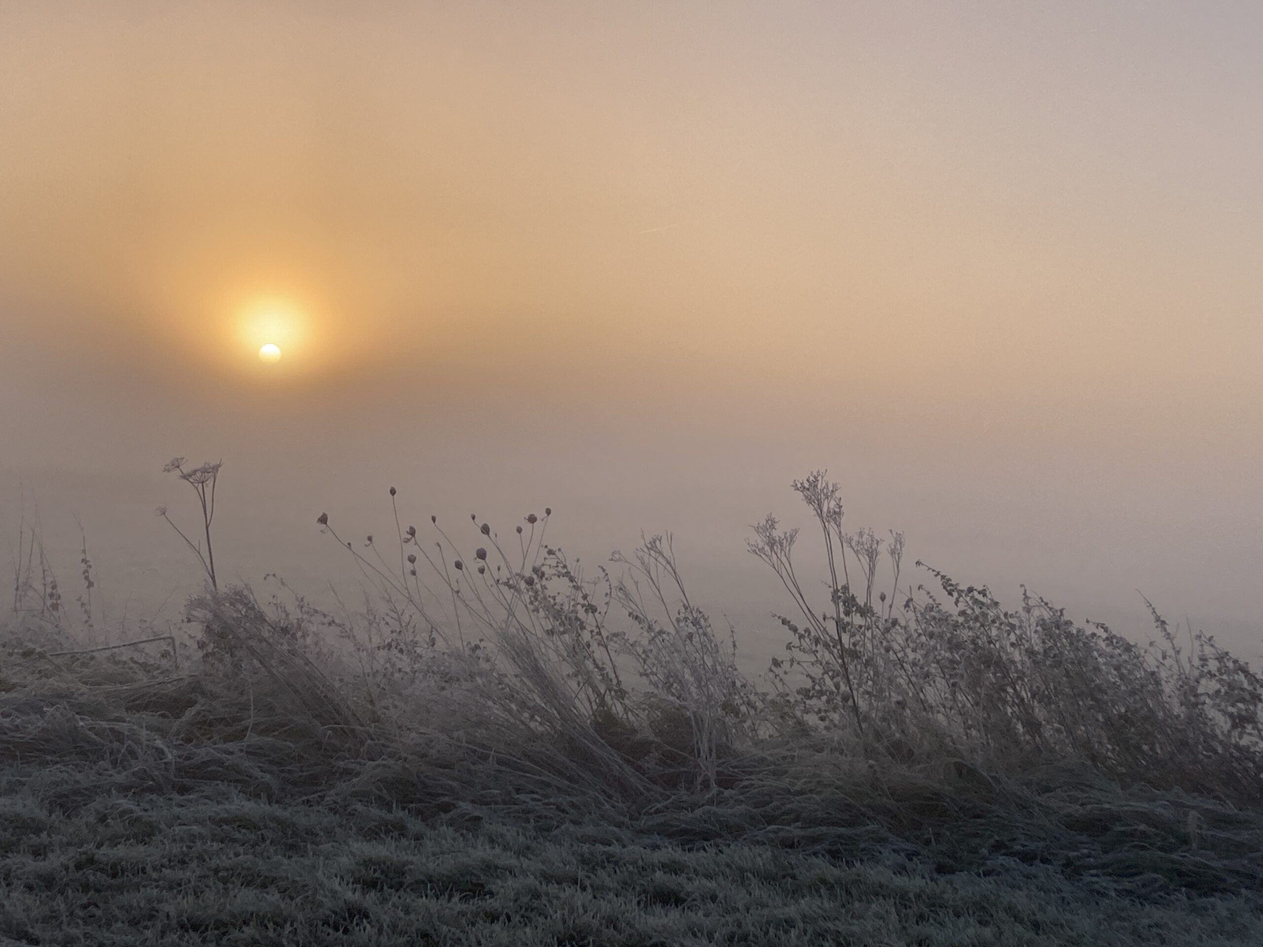 Test produit virtuel – Image 3